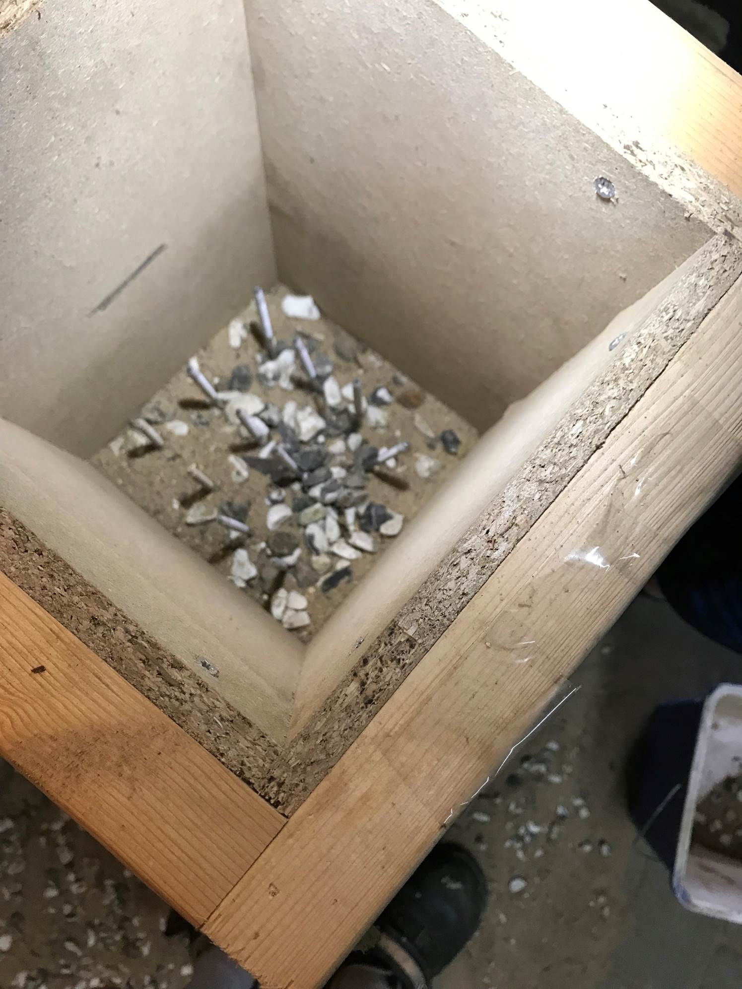 Et billede, der indeholder tr�, snavset

Automatisk genereret beskrivelse